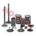 Linhai 250 260 300 520 Inlet/Exhaust Valve Sets