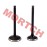 Linhai 250 260 300 520 Inlet/Exhaust Valve